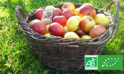 LES JARDINS DE KARINE - POMMES "visitées"-en mélange-1kg