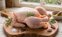 Terres de Bon Sens - Poulet BIO maxi env 2,4kg
