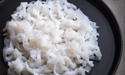 France-Konjac - Tagliatelles de konjac en vrac-Format restauration/ fabrication (Quantité minimum de commande: 25 kg)