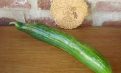 Ferme de Cernunnos - Concombre long bio - 300g