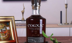 Mte Spiritueux - ORACLE EXTRA Cognac, vieilli plusieurs décennies, Grande Champagne 1er Cru
