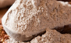 La Ferme des Ecureuils - Farine de blé noir Bio – 5000g