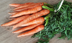 Gourmets de l'Ouest - Carottes nouvelles de Saint-Malo