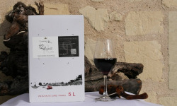 Domaine de la Chopinière du Roy - BIB de Vin Rouge Saint Nicolas de Bourgueil 2025 - 5 Litres
