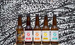 La Brasserie Parallèle - Brasserie sans alcool - Kéfir de Fruits -Plaisir Ephemere - 20 x 33cl