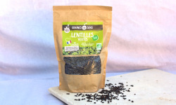 BERRY GRAINES - Lentilles vertes de France - BIO - 500g