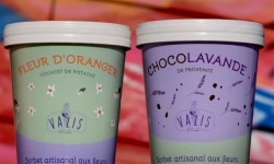 Valis Fleurbet - 2 sorbets-Lot gourmand 2x480ml