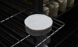 Alléosse Maitre Artisan Affineur Fromager - Gramat au lait cru