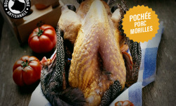 Boucherie Moderne - Pintade Farce PORC / Morilles POCHÉE
