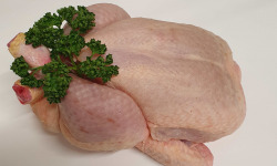 Ferme de la Paumerais - COQUELET (x1) - 1 Kg