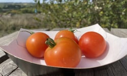 Ferme Sinsac - Tomate Sieger rouge en barquette de 1kg