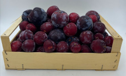 Le Panier du Producteur - Prune "Rouge"