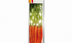 Maison Sales - Végétaux d'Art Culinaire - -1- Mini Carotte Orange -  12 Pcs Minimum