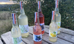 Ferme Sinsac - Pétillant de Fraise et Rhubarbe sans alcool 33 cl colis de 6 bouteilles