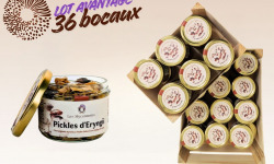Les Myconautes - Lot 36 bocaux Pickles de pleurotes eryngii