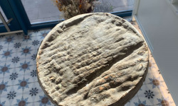 La Fromagerie PonPon Valence - Saint-Nectaire Fermier AOP