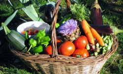 Les Jardins de Mondpa - Panier de légumes de saison