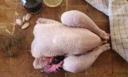 EARL Plumes et Laines - Poulet Fermier Cou Nu 2.5 kg