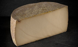 Les Affineurs des Volcans - Tome au Lait de Bufflonne Demie 1,25 kg