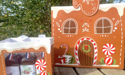 Ferme Sinsac - Trio de Vinaigre spécial noël (3 x 25 cl)