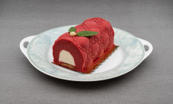 Le Jardinier Glacier - Bûche glacée mélange fruits rouges/citron 6 à 8 pers X3