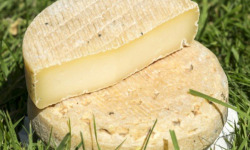 La Vache Charentaise - Lot de 2 La Tomme Charentaise 2x250g