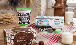 La Ferme de Blas'Lait - Lot Crèmes desserts Chocolat x4 + Nature sucrés x4 + sucrés aromatisés x4