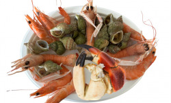 Le Termer - Plateau de fruits de mer 1