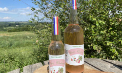 Ferme Sinsac - Pétillant de Fraise et Rhubarbe sans alcool 33 cl