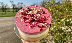 Glaces de Meuse - Duo Glacé "Fleur de Lait & Framboise" (6/8 parts)