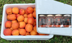 Gobert, l'abricot de 4 générations - [Précommande] Abricots 6kg et assortiment 4 confitures