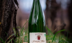 Domaine François WECK et fils - Edelzwicker 2023 - 1 litre x3