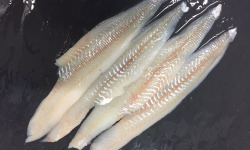 AQUADIS NATURELLEMENT - 6 x 1BQ de Filets de Merlan Sans peau sans arêtes 400g