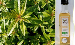 L'Agricueilleur du Suzon - Sirop de Verveine BIO - 50cl