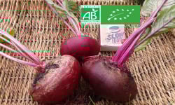 LES JARDINS DE KARINE - Betterave rouge avec feuilles - 1kg