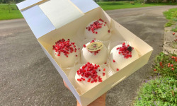 Glaces de Meuse - Dômes glacés Noix de Coco x 5