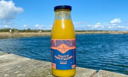 Rivesaline - Terre Saline - Velouté de courge et salicorne 500ml