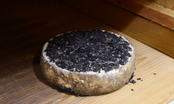 Alléosse Maitre Artisan Affineur Fromager - Tomme fermière au Marc de Raisins au lait cru