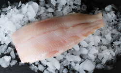 Du Léman à l'Océan - Filets De Féra Frais Du Léman - 1 Kg