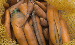 Ferme Joos - carottes déclassées pour animaux 10kg