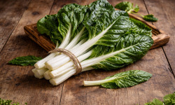 Nature et Saveurs - Ferme Aquaponique et Permacole Astérienne - Blette blanche Jessica – feuilles larges et côtes fondantes