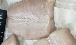 Poissonnerie La Piriacaise - Dos de Merlu