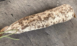 Ferme Joos - Saucisson sec de boeuf : Ferme Delmotte
