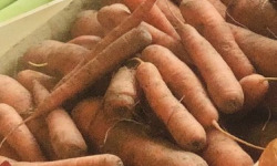 Ferme de la Paumerais - CAROTTES DE SABLE 5kg