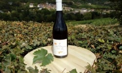 Domaine Doudeau-Leger - Vent d'Ange - Vin de Pays du Val de Loire Rouge IGP 2022 - 1 Bouteille