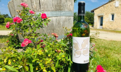 Domaine du Buisson - Vin blanc AOP Bordeaux - 2024 -  6x75cl