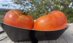 Ferme Sinsac - Tomate legend a farcir