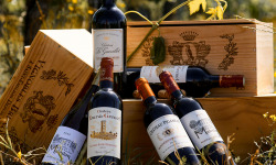 Vignobles Brunot - Box Découverte : 1 blanc, 1 rosé et 4 rouges de Bordeaux, dont Saint-Emilion Grand Cru - 6x75cl
