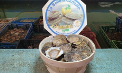 Huîtres Henry - 50 Huîtres Plates Belons BIO Très très Grosses