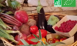 LES JARDINS DE KARINE - PANIER modulable Fruits et Légumes bios ROUGE VIOLET
